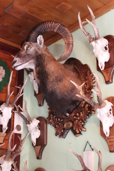 Podložka je dokončená