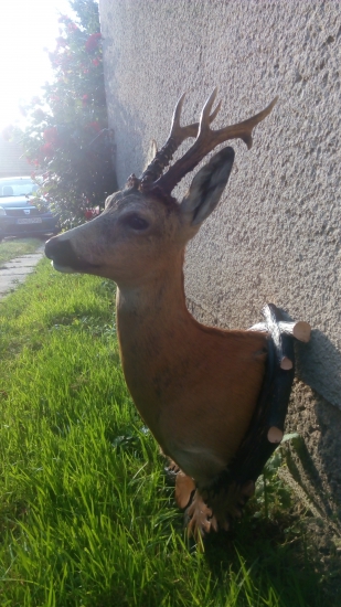 Dobrá práca preparátora