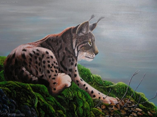 RYS akryl na plátne