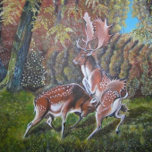 Akryl na sololite 90x60