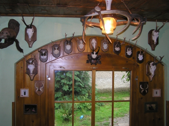 poľovnícka izba 2