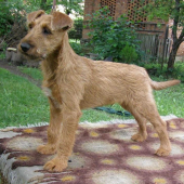 Jerry sa uci na vystavu :)))