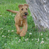 takto vyzera beziace stastie :))