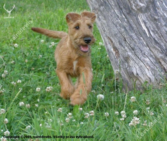 takto vyzera beziace stastie :))