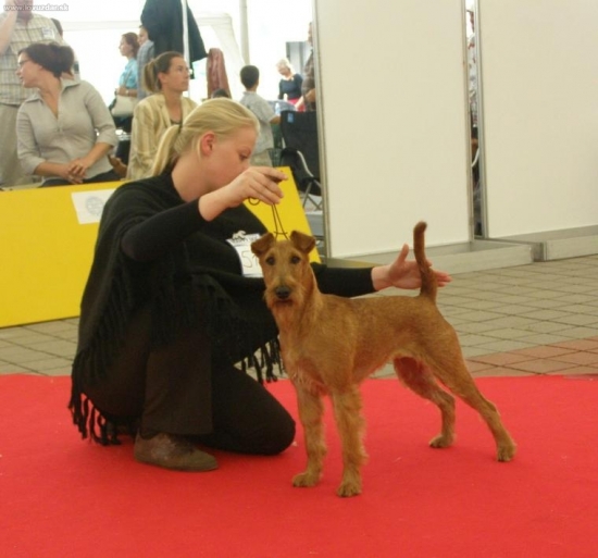 Sonny -Interra - res.CAC