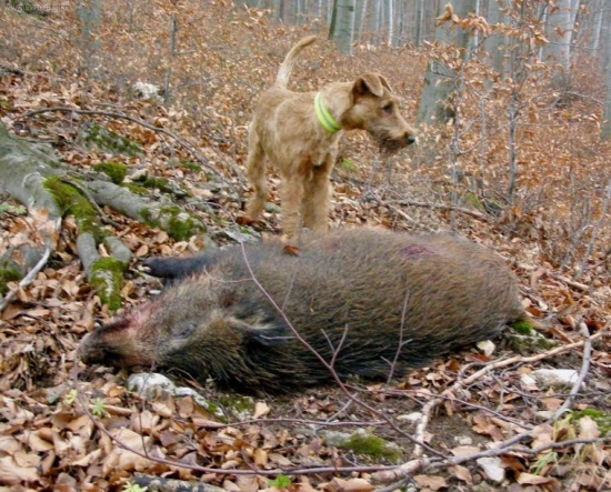 Jerry na prvej polovacke :))