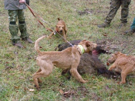 neopovazte sa priblizit, ten je len moj!!