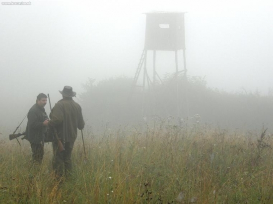 Ranná prechádzka