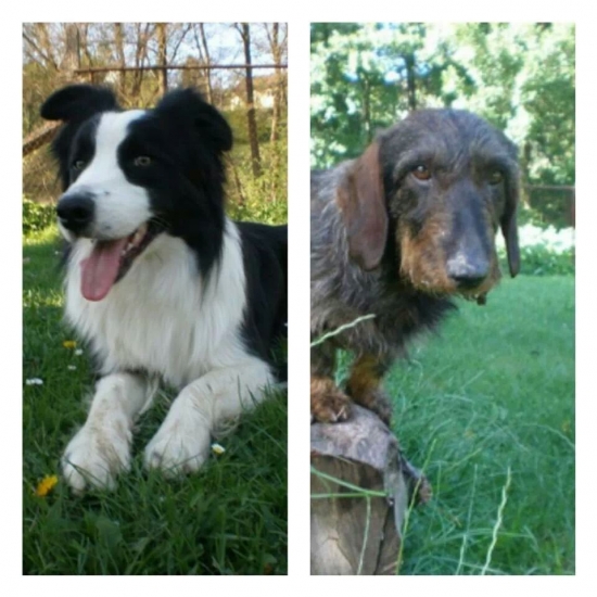 prosim pomozte ich najst