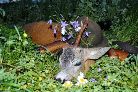 keď pršalo, mrholilo ...