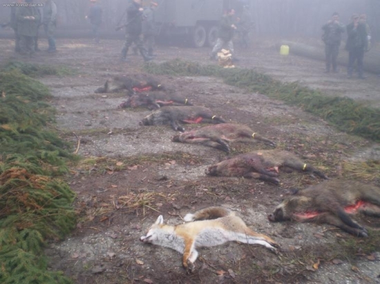 hmla nás neodradila