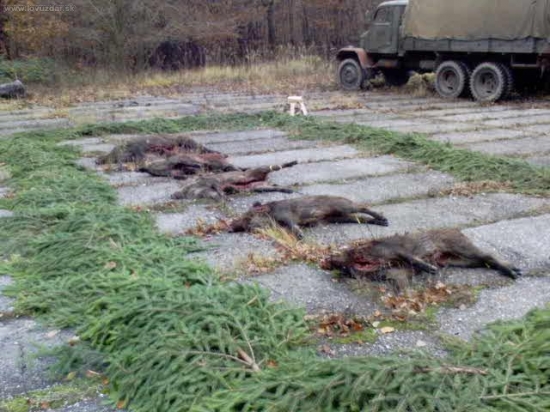 spločná poľovačka