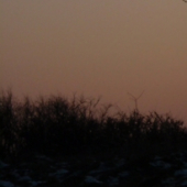 panoráma