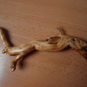 Čo príroda dala