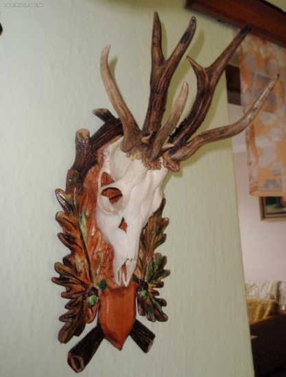 Tomu sa hovorí rarita