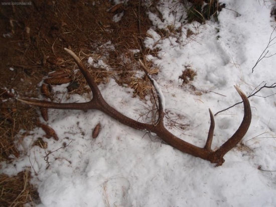 Pekný začiatok týždna :)