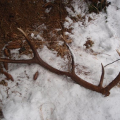 Pekný začiatok týždna :)