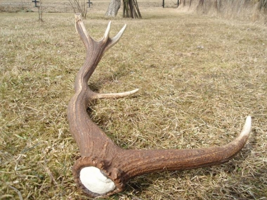 Výsledok dnešnej otcovej prechádzky