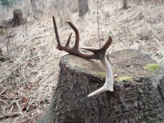 A tu je môj dnešný