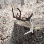 A tu je môj dnešný