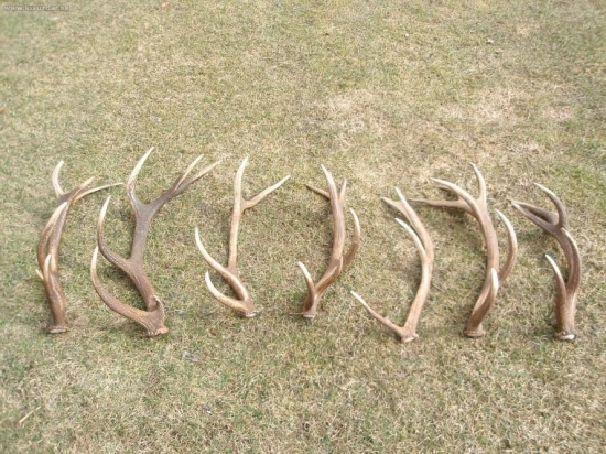 Práca profíka (kamrátovho otca) za dva dni