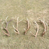 Práca profíka (kamrátovho otca) za dva dni