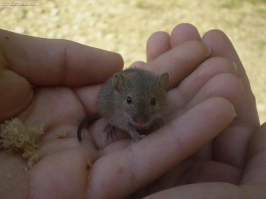 To jsme chytli na rybách:)