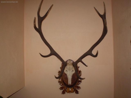 tátova chlouba z r. 1983