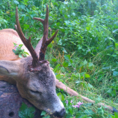 Svätý Hubert ďakujem