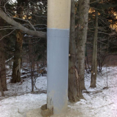 Automatický zásobník na jadrové krmivo