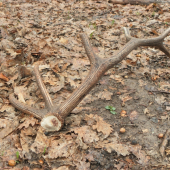 uf ale som sa nachodil