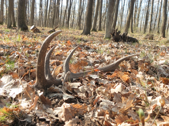 aj včera sa zadarilo