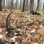 aj včera sa zadarilo