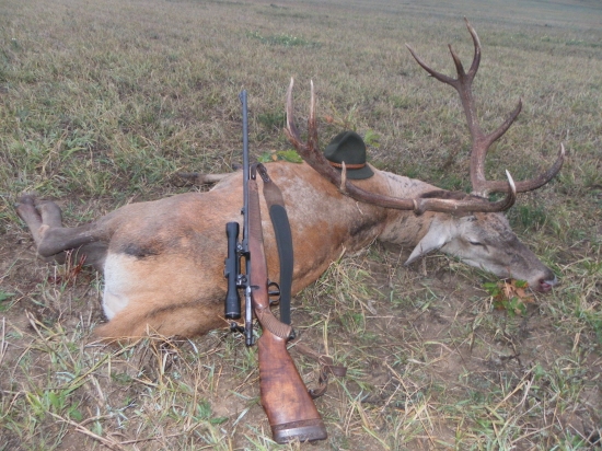 aj koniec ruje, môže prekvapiť