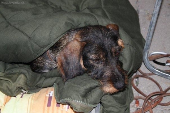 takto som buvkala v Brastislave na výstave