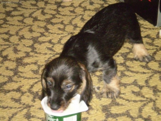 keď som bola malinká