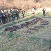 prvá tohto ročna 2