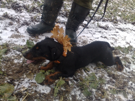 IRA po úspešnej dohľadávke