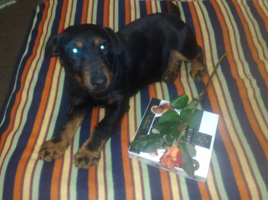 IRA Komjatické jazero dnes 3 roky