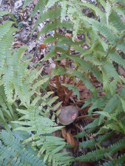 ..aj tak sme našli :)