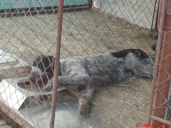 LEA ...na misku si počkám..