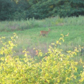 bolo sa na čo pozerať