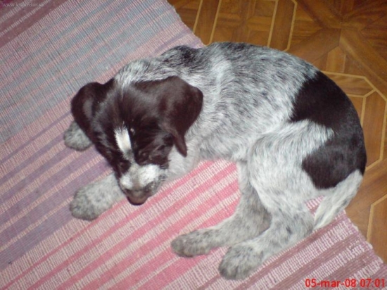 2 deň v novej rodine