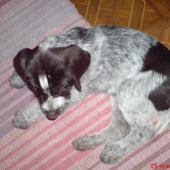 2 deň v novej rodine