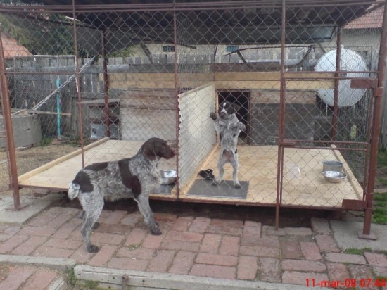 počkaj ked vyrastiem