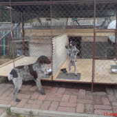 počkaj ked vyrastiem