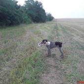 takto som začínala..