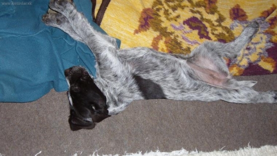 dá sa  trošku natiahnuť aj keď spím