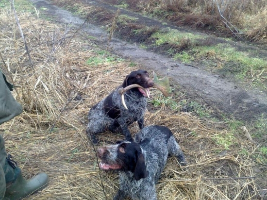 ...a teraz dve baby...