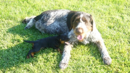 Poď sa ešte hrať.IRA a Lea.